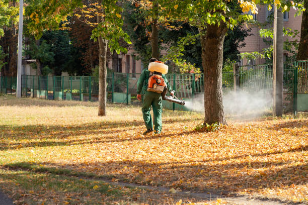 Reliable Parsons, WV Pest Control Solutions